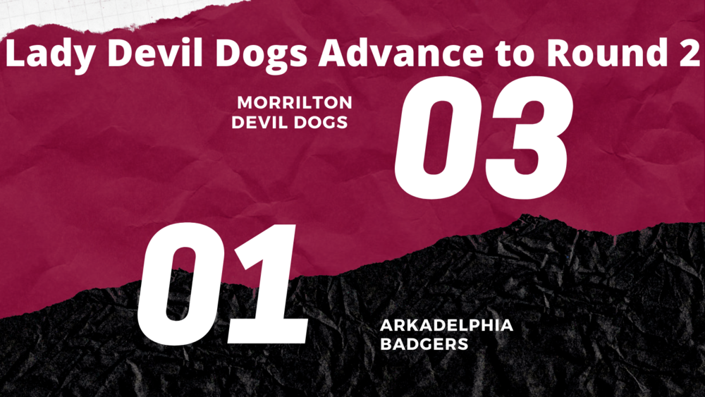 VolleyDogs