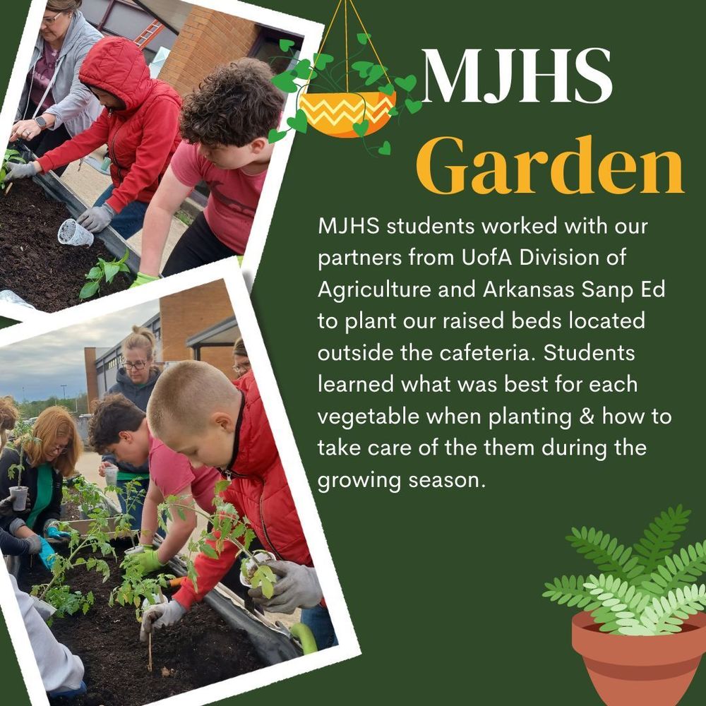 MJHS School Garden